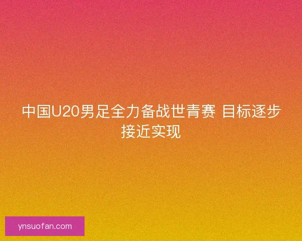 中国U20男足全力备战世青赛 目标逐步接近实现
