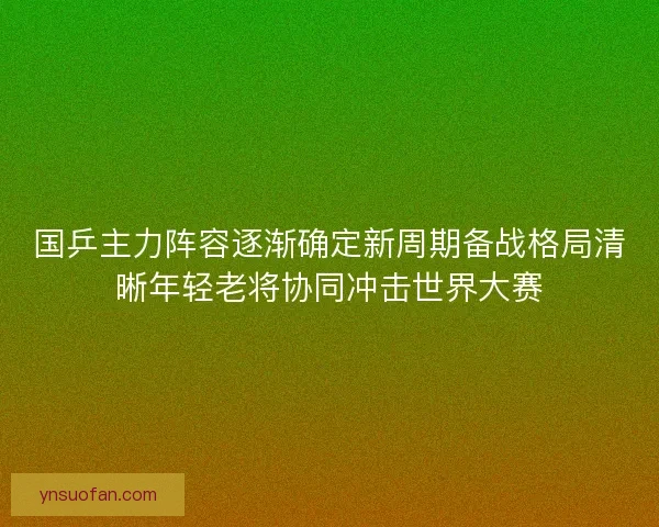 国乒主力阵容逐渐确定新周期备战格局清晰年轻老将协同冲击世界大赛